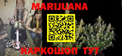 прущие грибы Обнинск