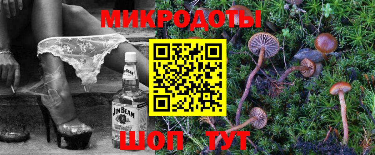 Ярославль  Псилоцибиновые грибы Magic Shrooms  Вход с VPN 